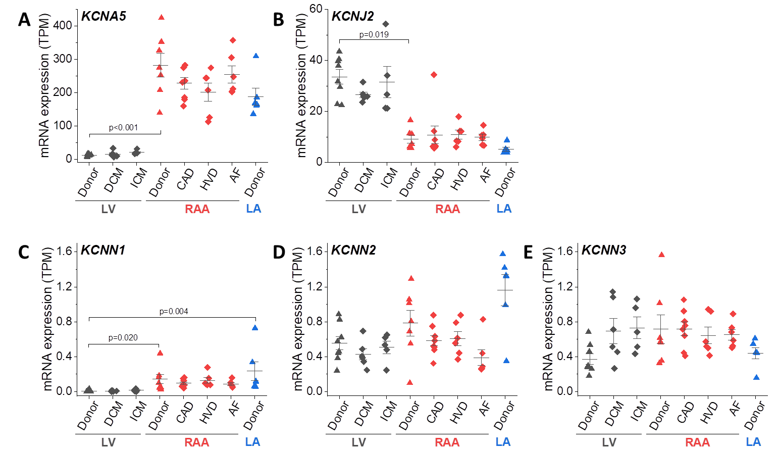 Abstract 870 Small conductance Ca 2+ -activated K + (SK) channels are ...