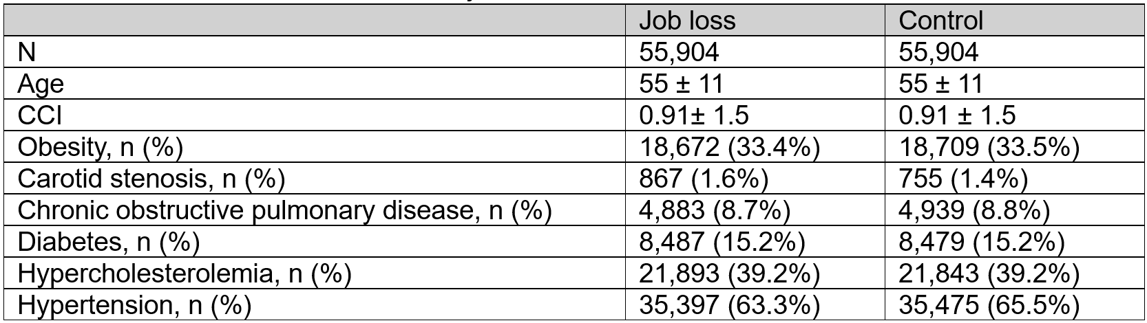 Table 1: Baseline characteristics of the job loss and the control cohort